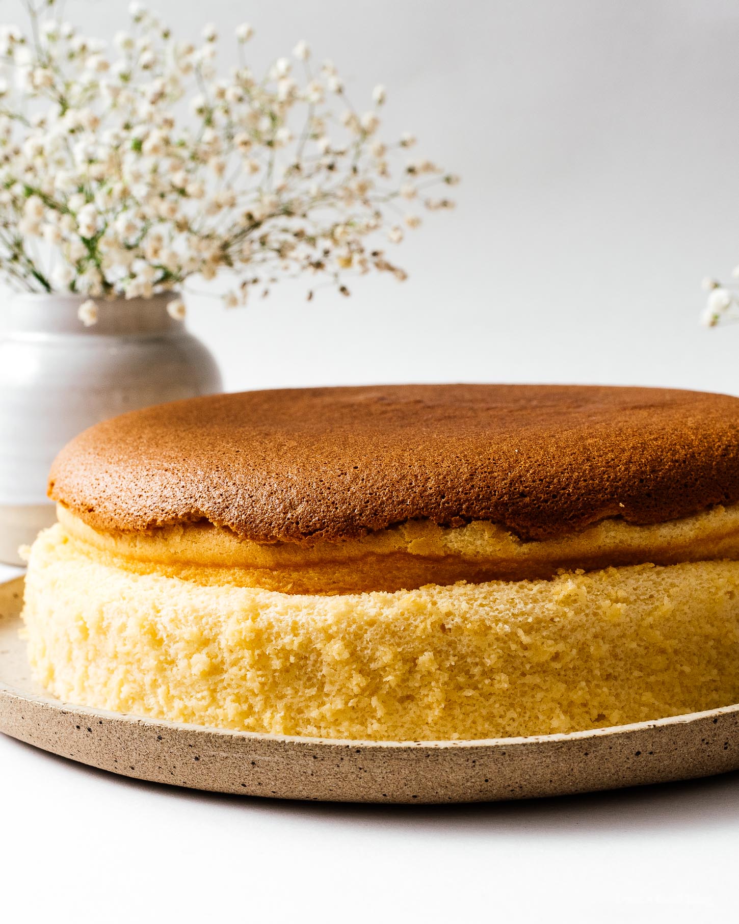 El cheesecake de algodón japonés es la combinación perfecta de bizcocho, sabor y textura. Con la textura suave y masticable del soufflé, ligera como el aire, la dulzura perfecta, perfectamente masticable y picada con un toque de queso crema picante. #cottoncheesecake #cottoncheesecakerecipe #japanesecheesecake #japanesecheesecakerecipe #cheesecake #cheesecakerecipe #recipes #jigglycheesecake 
