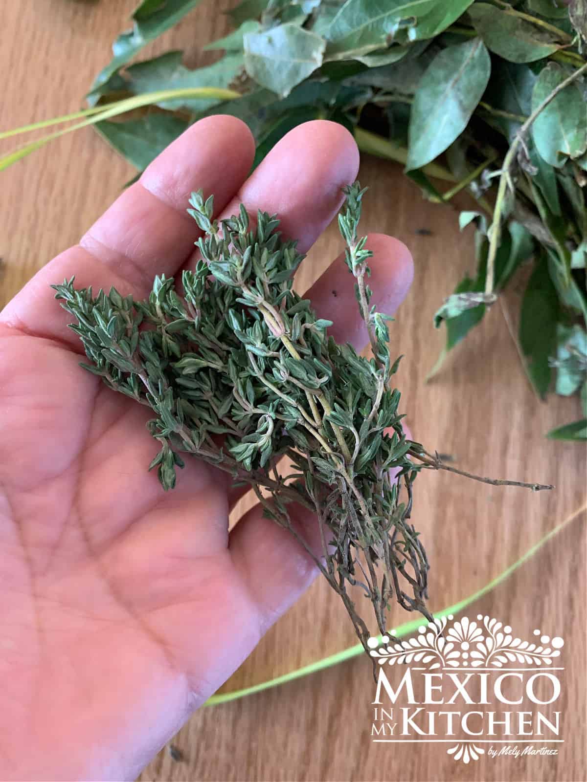 thyme mexican herb