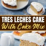 Tres Leches Cake bi Cake Mix