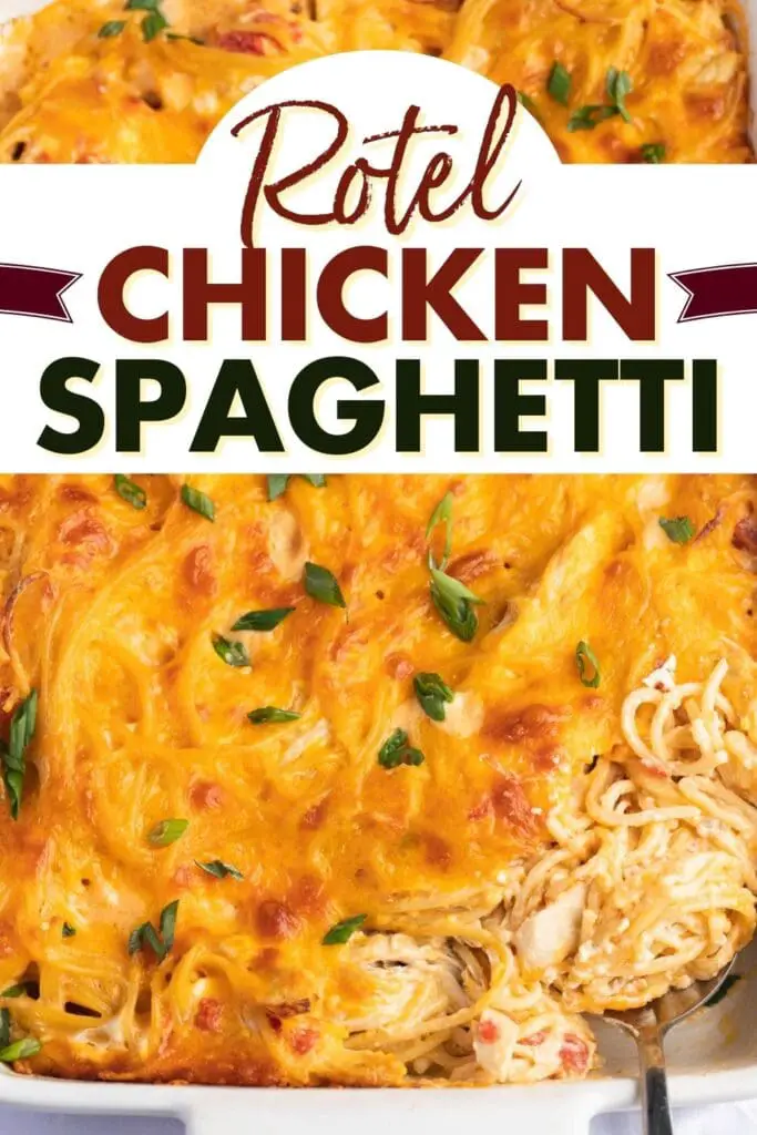 Špageti s piščancem Rotel