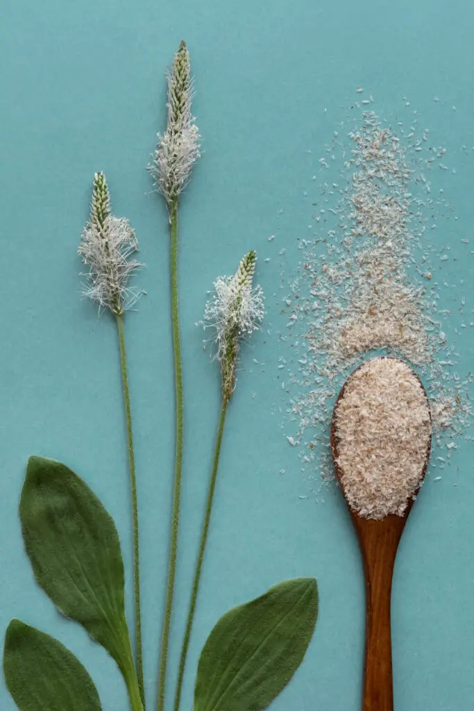 Cáscara de psyllium