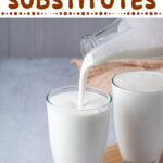 Sustitutos de suero de leche