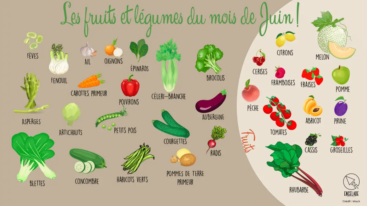 Les fruit et légumes du mois de juin