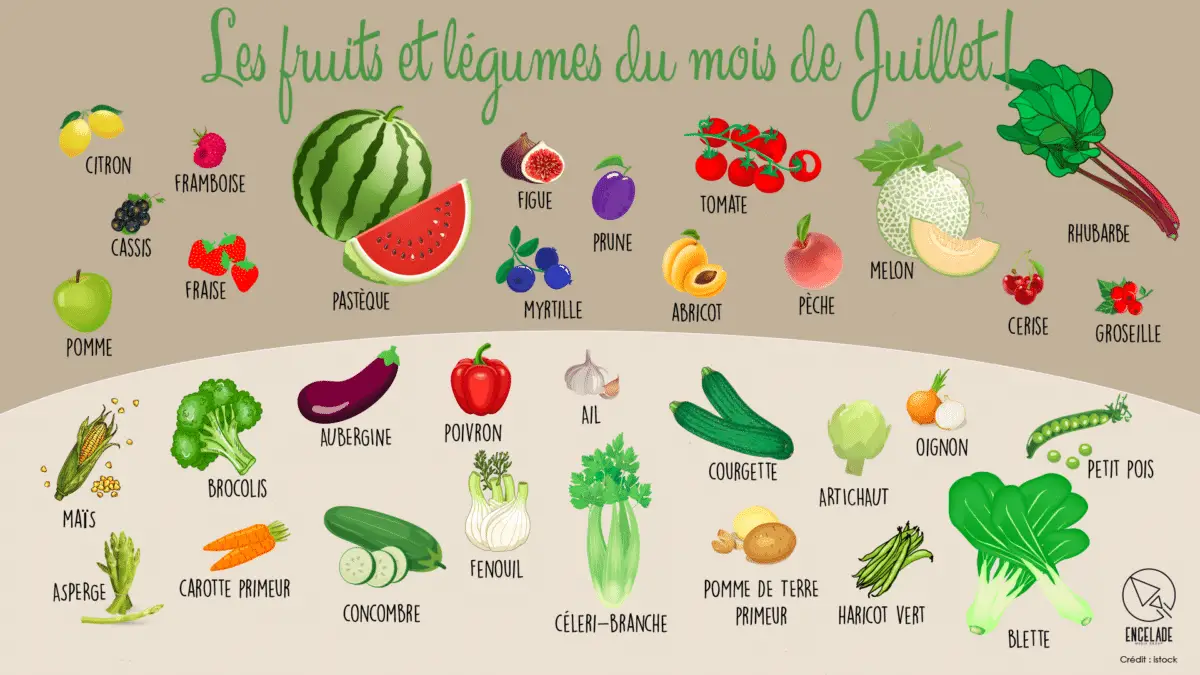 les fruit et légumes du mois de juillet