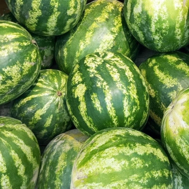 Hoe kinne jo fertelle as in watermeloen ryp is (6 manieren): Stapel watermeloen te keap yn in winkel