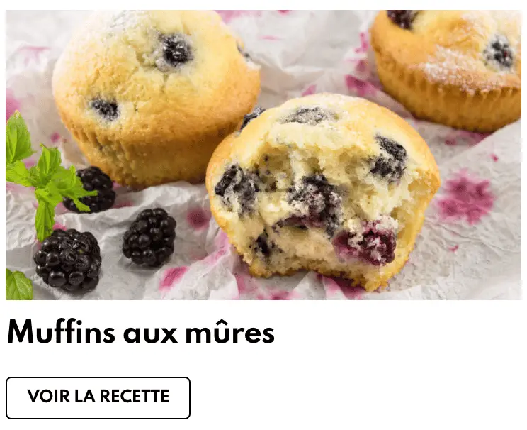Muffins mûres