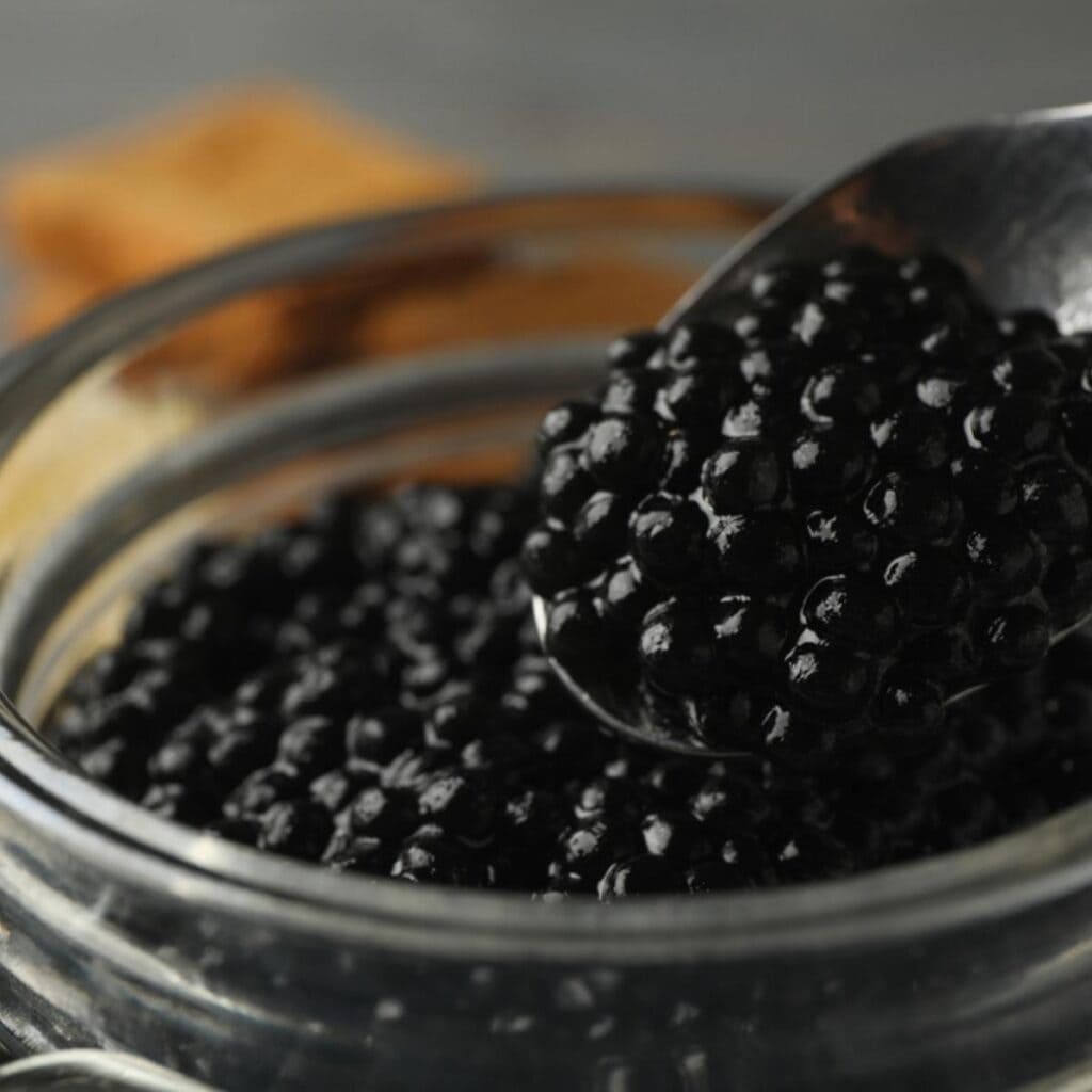 caviar negro