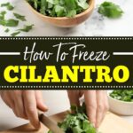 Cómo congelar cilantro