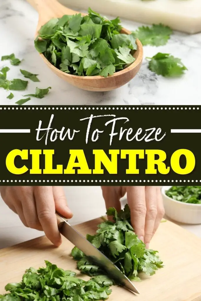 Cómo congelar cilantro