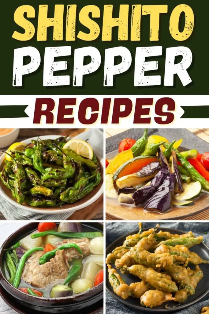 Shishito Pepper Recipes