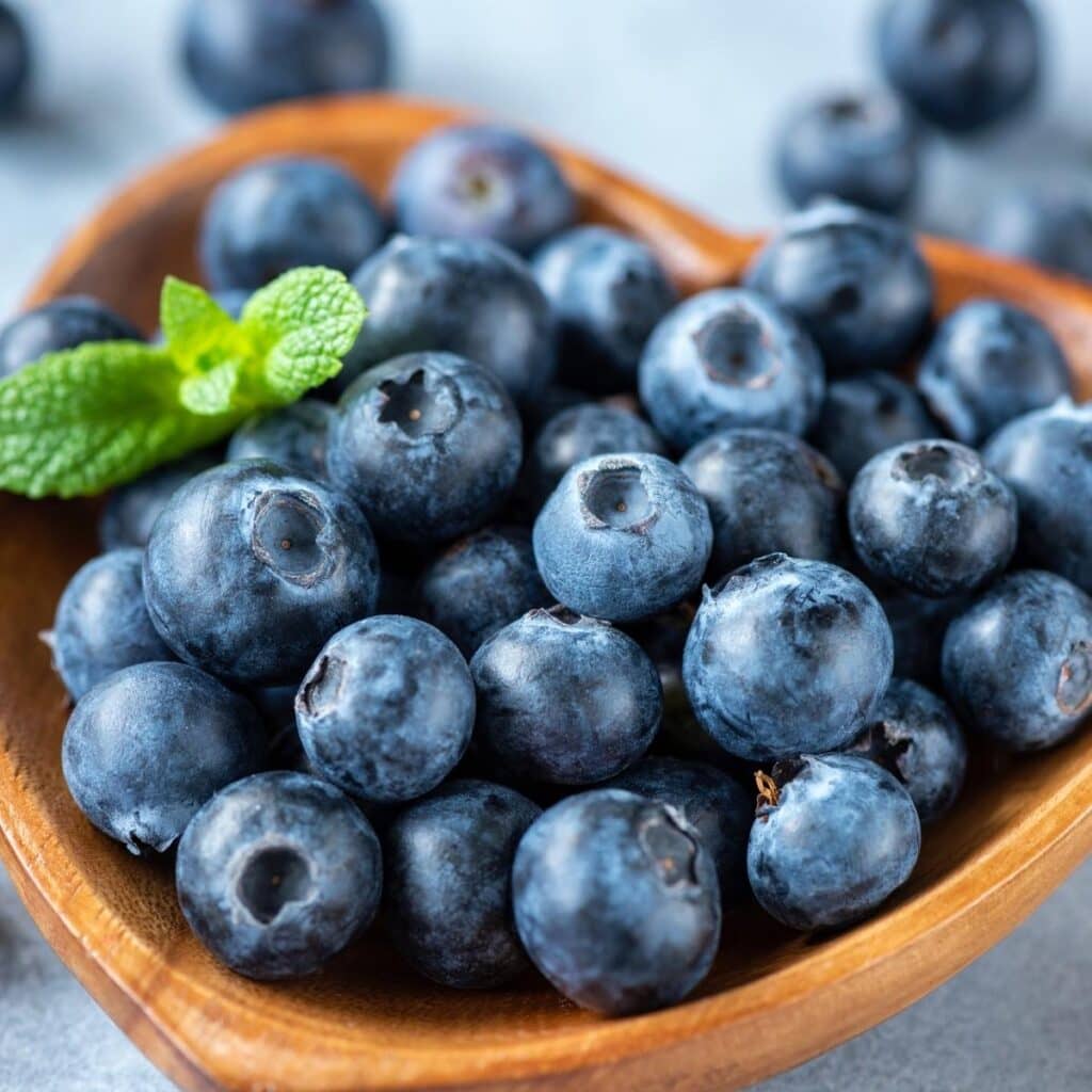 Homemade tshiab blueberries nyob rau hauv ib lub tais ntoo