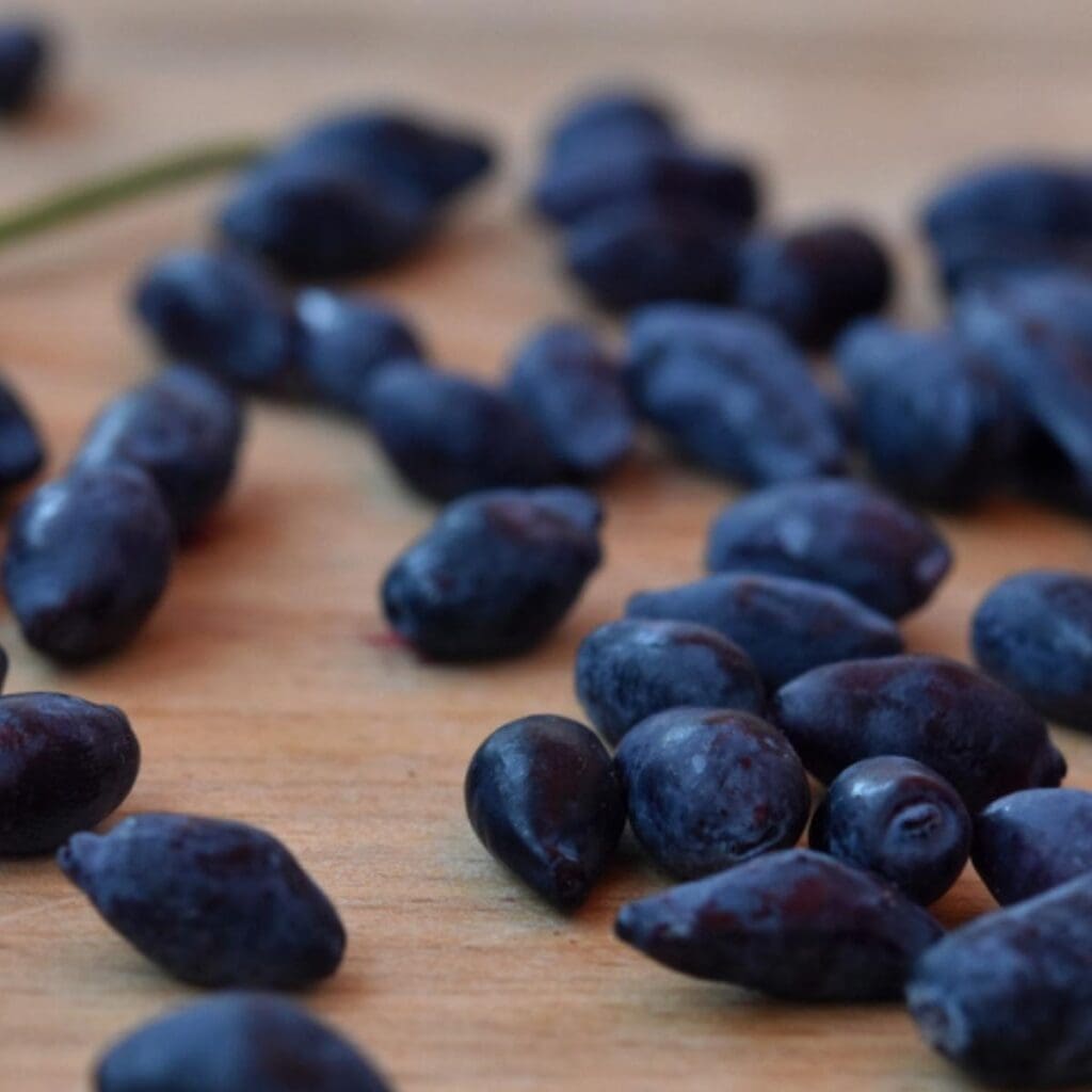 Frutos de madreselva azul sobre una mesa de madera 