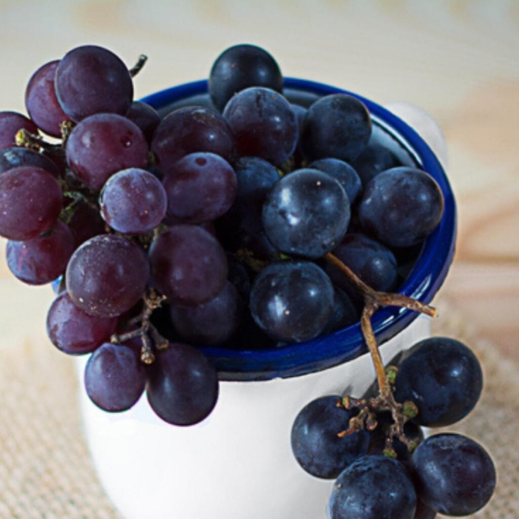 Vintage khob puv nrog Ribier Grapes