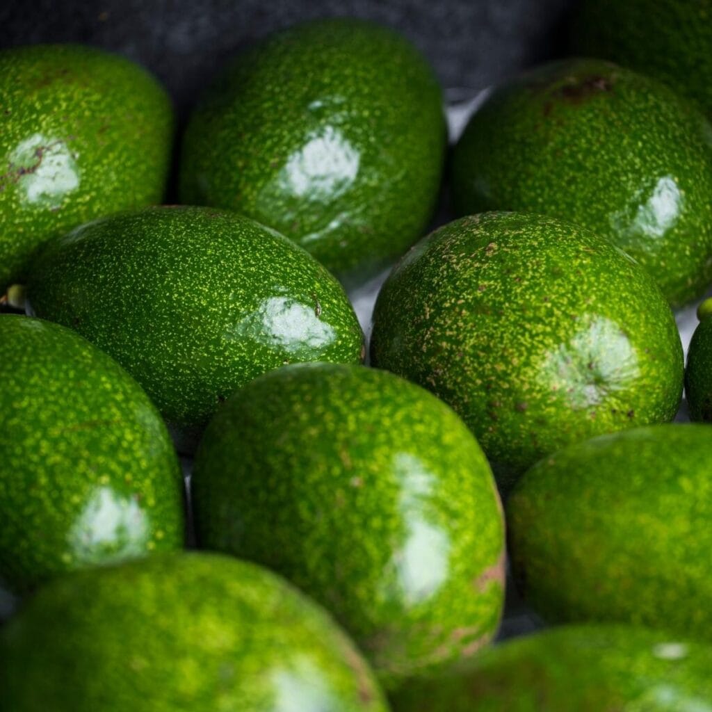 Friske grønne siv-avocadoer