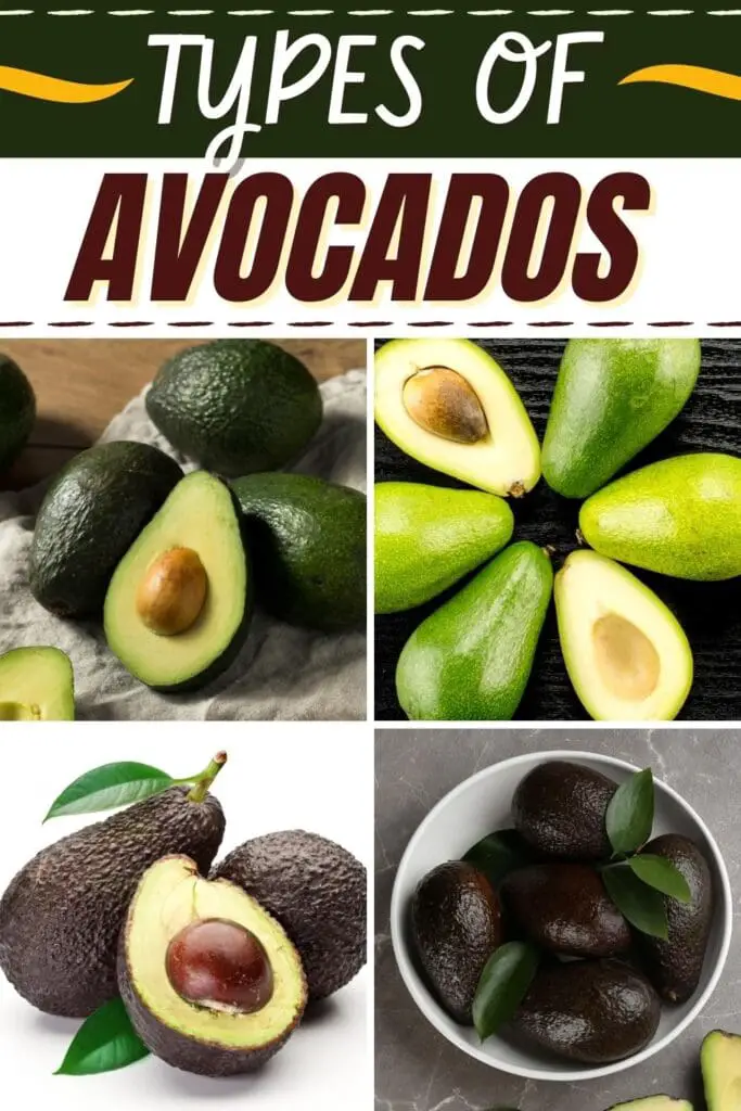 typer avocadoer