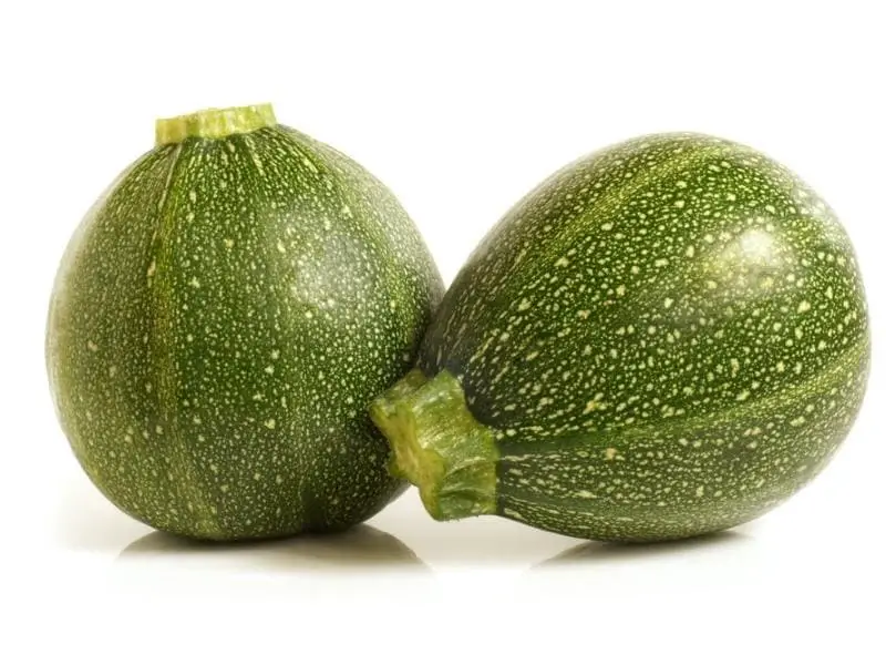 zucchini dor