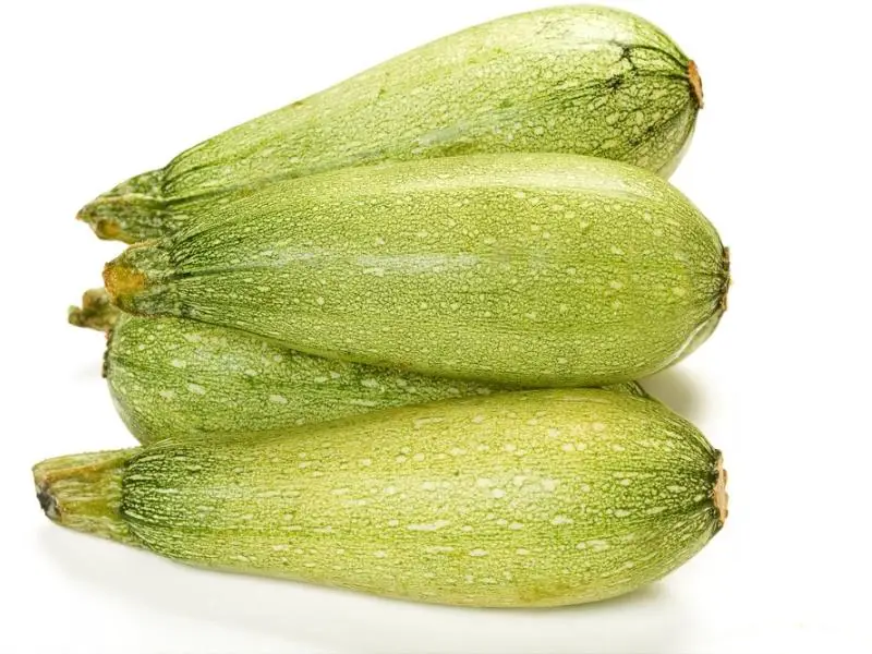 Pile zucchini Magda teze