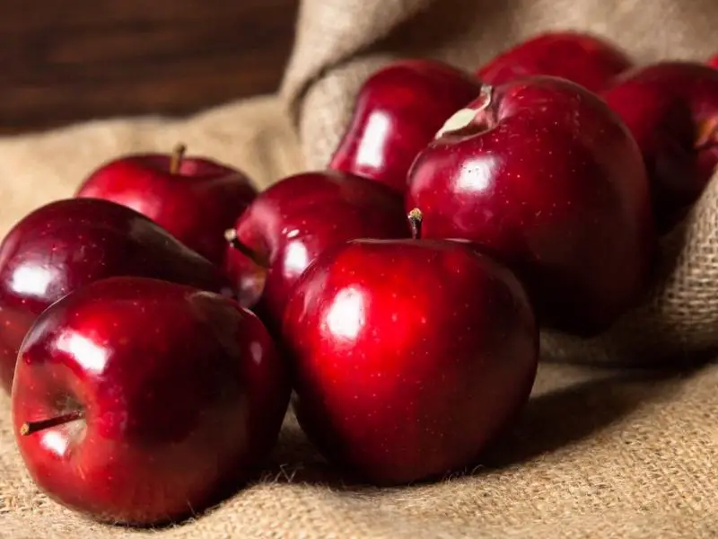 mollë të shijshme të kuqe