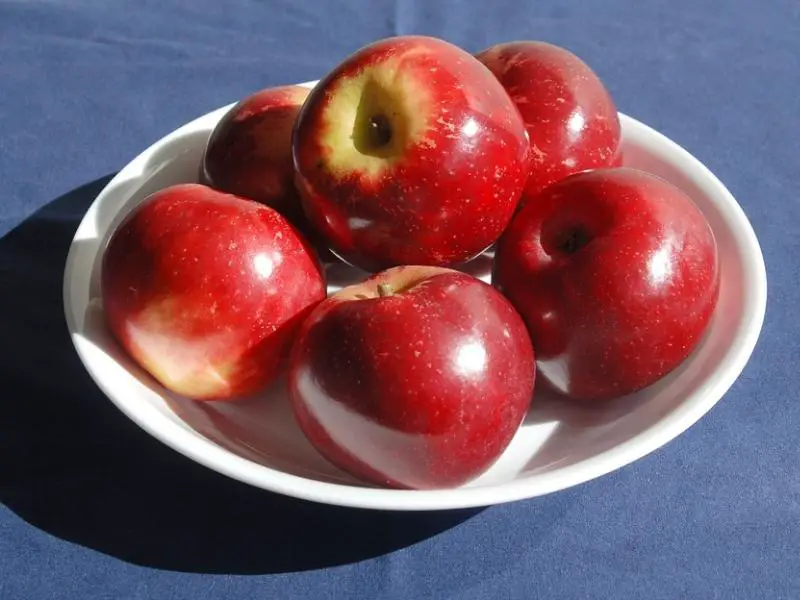 mollë Gravenstein
