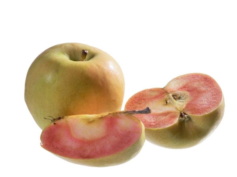 پورے اور کٹے ہوئے چھپے ہوئے گلاب کے سیب