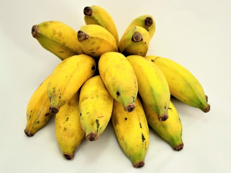 Plátanos dorados