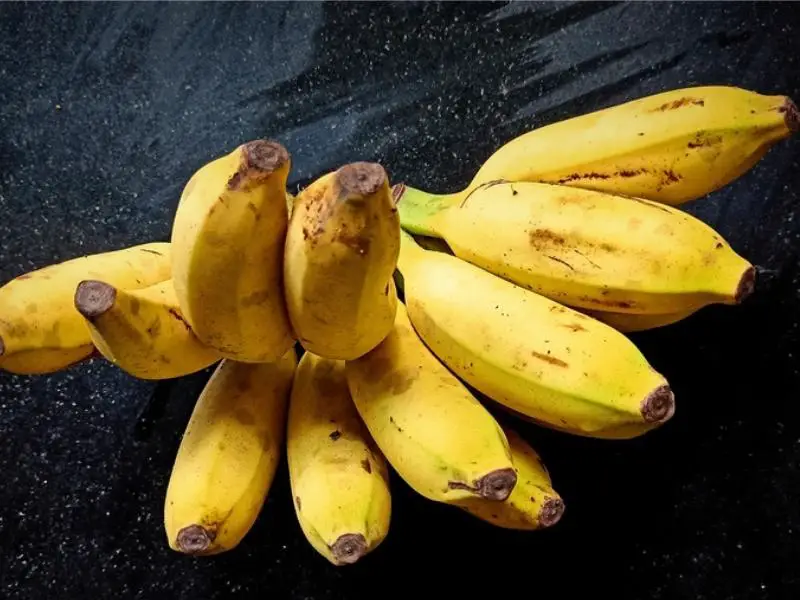 Plátanos de Mysore