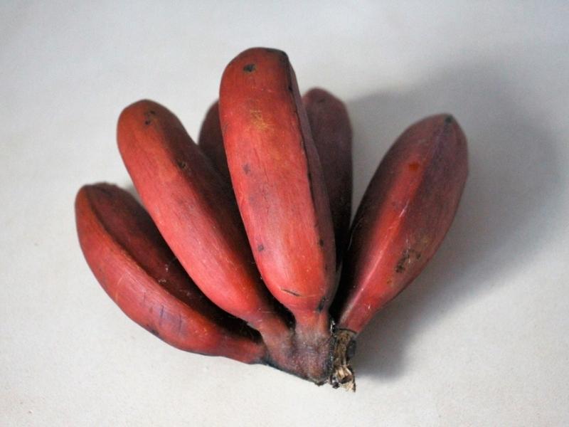 карликові ямайські банани