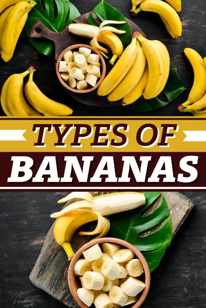 druhy banánů
