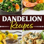 mga recipe ng dandelion