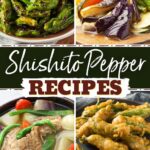 Recipes Pepper Shishito