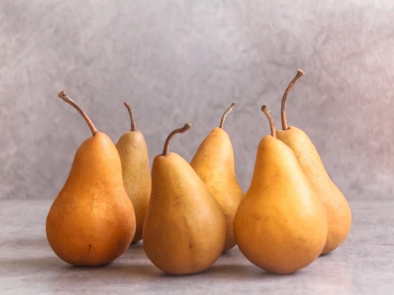 Bosco Pears