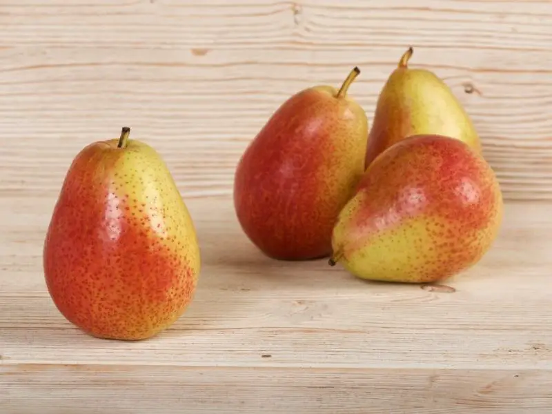Bartlett pears / Williams pears (casaan iyo jaalle)