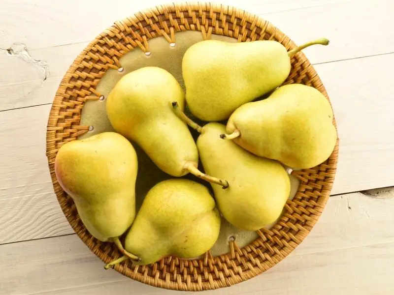 Ananas Biren
