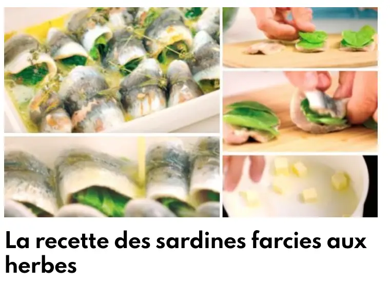 sardine farce