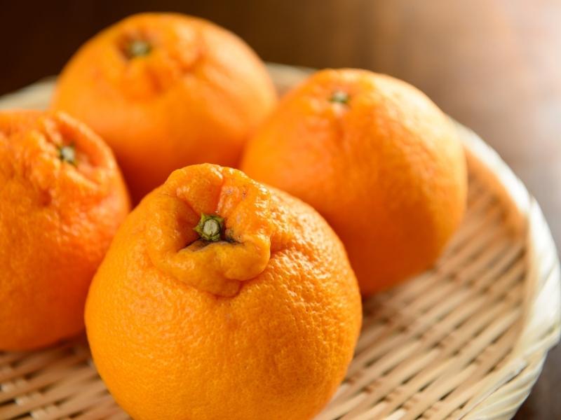 Sumo Naranjas en Bandeja Tejida