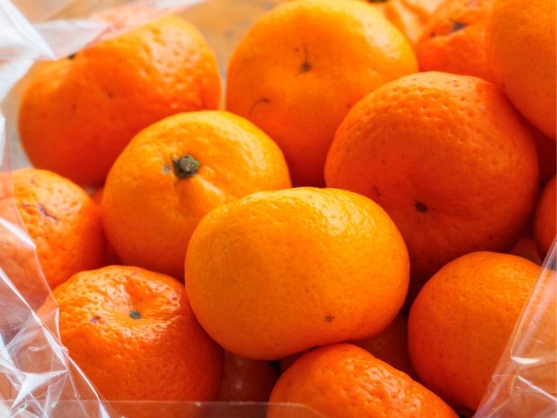 Kishus naranjas en una bolsa de plástico