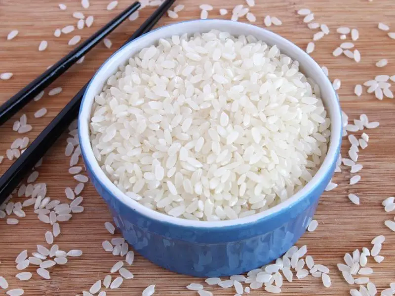 Uncooked Calrose Rice Bowl