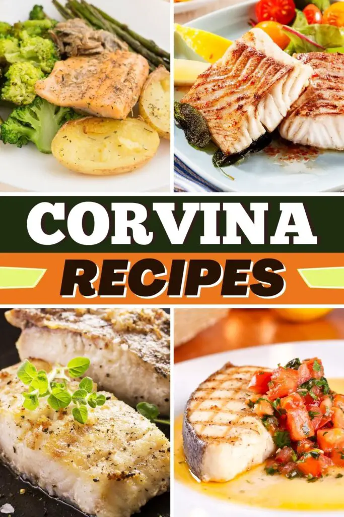 Corvina recepti
