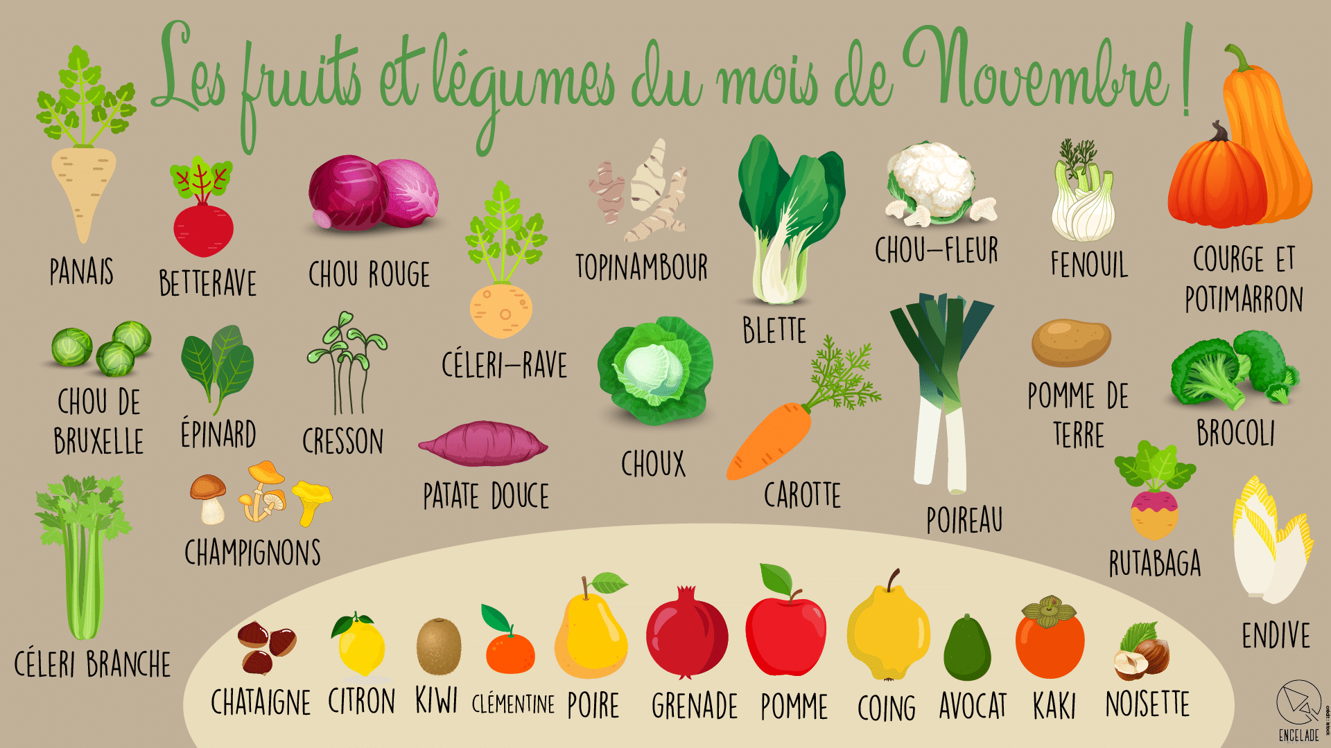 Obst und Gemüse für den Monat November