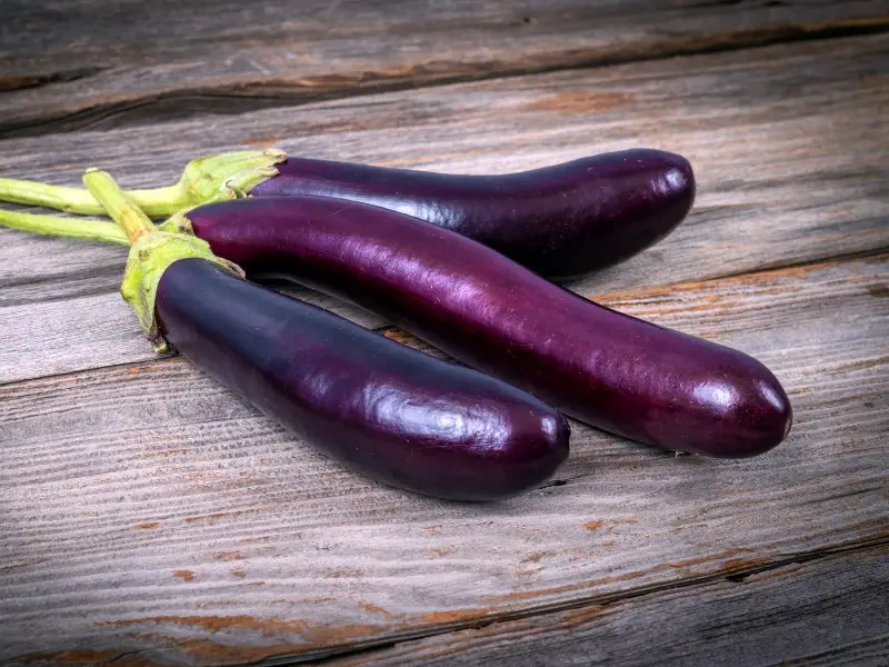 eggplant Filipino