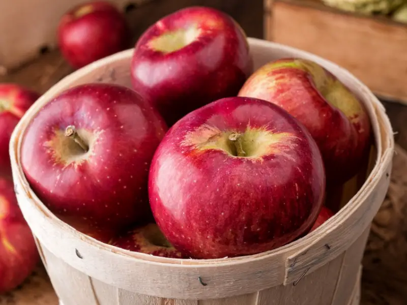 Cortland jabuke u drvenoj kanti