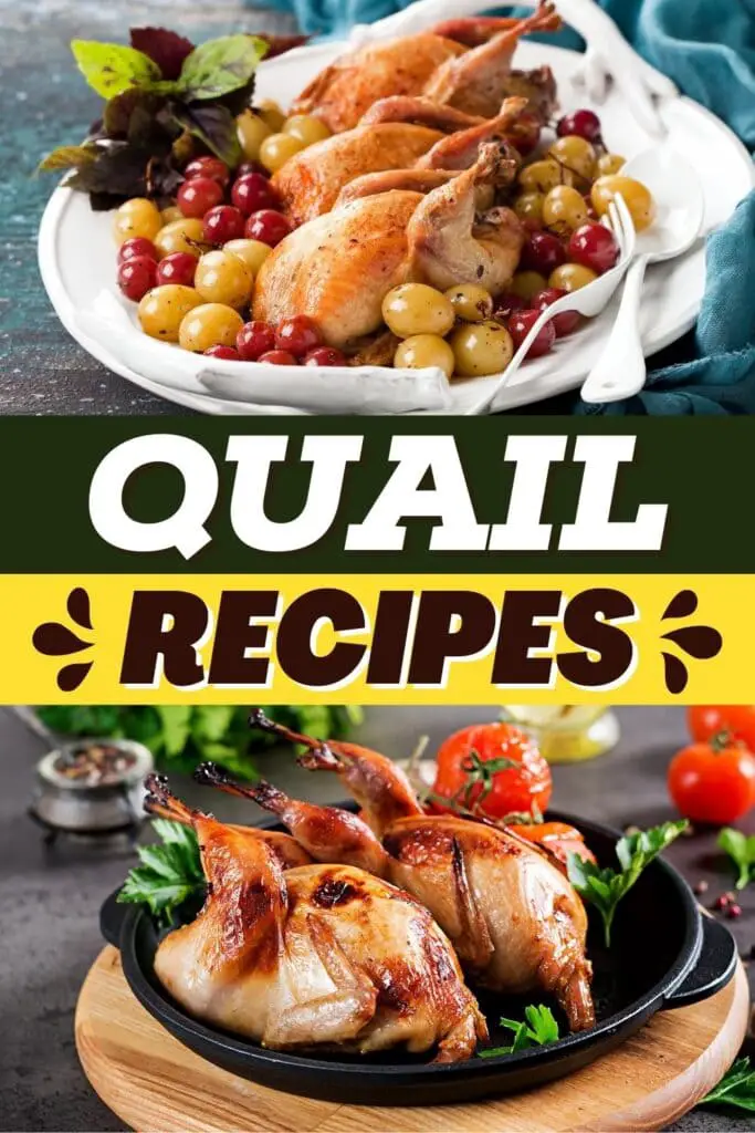 Recipes Quail