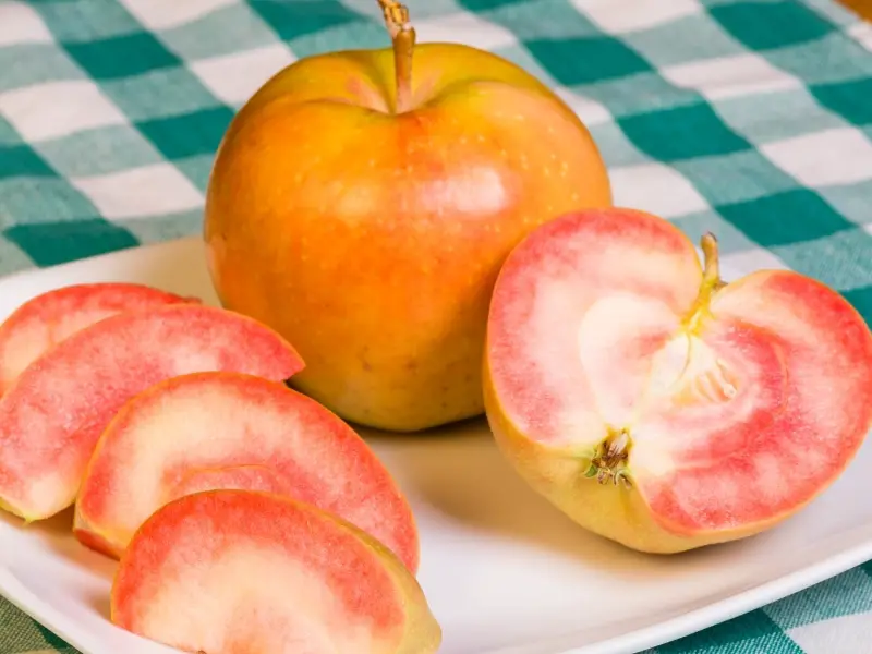 Rózsaszín gyöngy alma