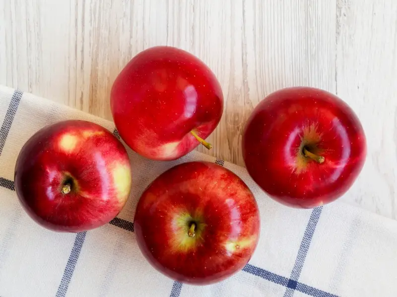 Jonamac-omenat kankaalla