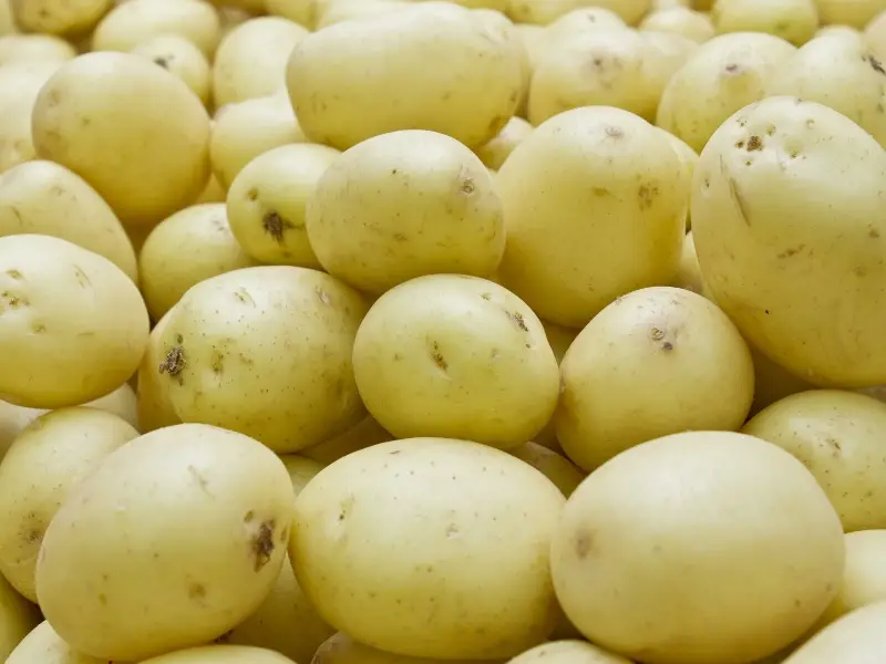 Banyak kentang ditumpuk di atas satu sama lain