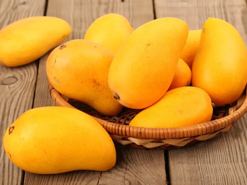 Mangos amarillos brillantes maduros en una bandeja de canasta tejida