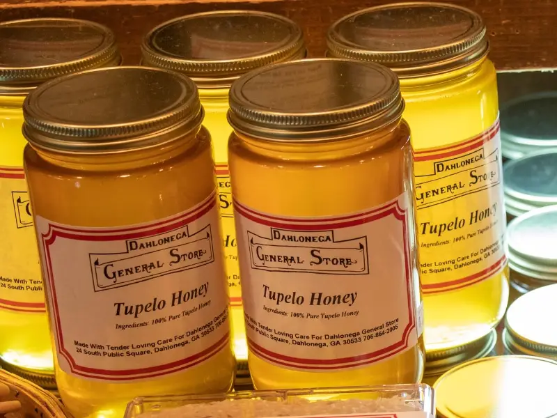 Tupelo med ve skleněné nádobě