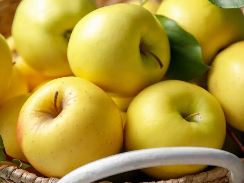 짠 바구니에 담긴 황금 맛있는 사과