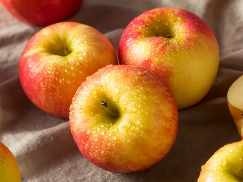 Մեղր փխրուն խնձորներ շագանակագույն կտորի պարկի մեջ