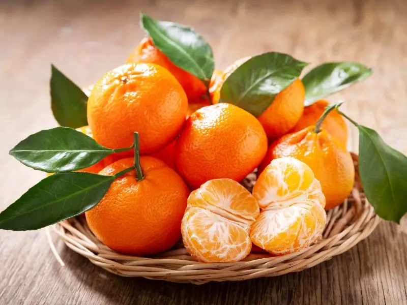 Naranjas Mandarinas Orgánicas Frescas con Hojas